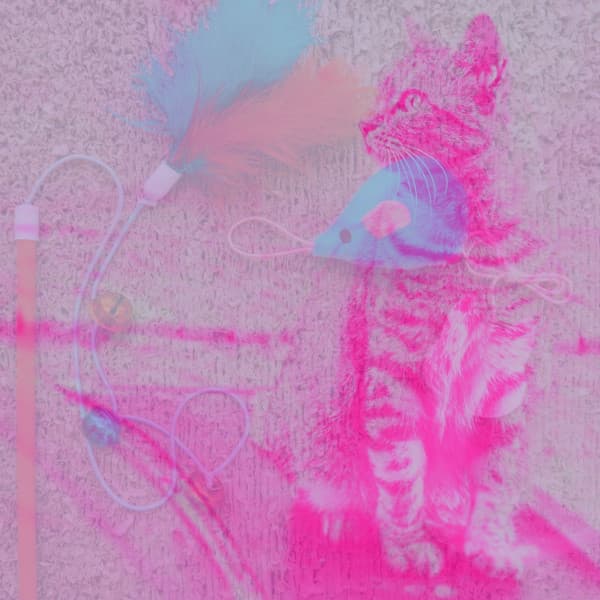 Music for Cats and Dogs Relaxation - Cat Music Therapy