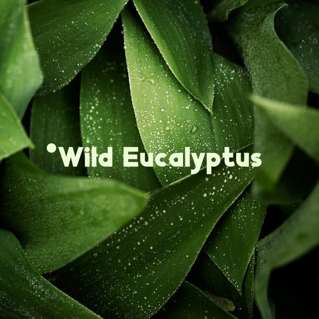 Wild Eucalyptus: Relaxing Home Spa, Beauty Treatments, Time Only for You - Spa Music Consort