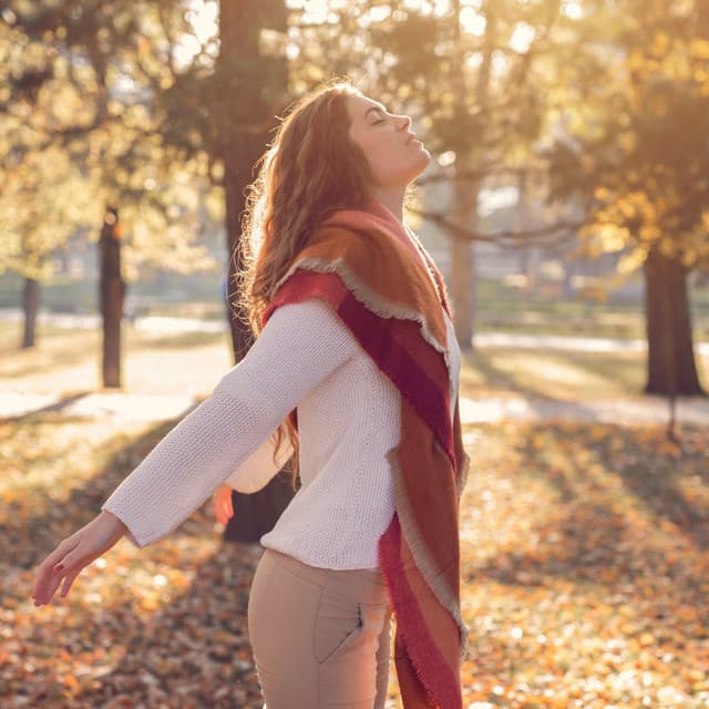 Zen Serenity: Lofi Relaxation Soundscapes of Calmness - The Lofi King