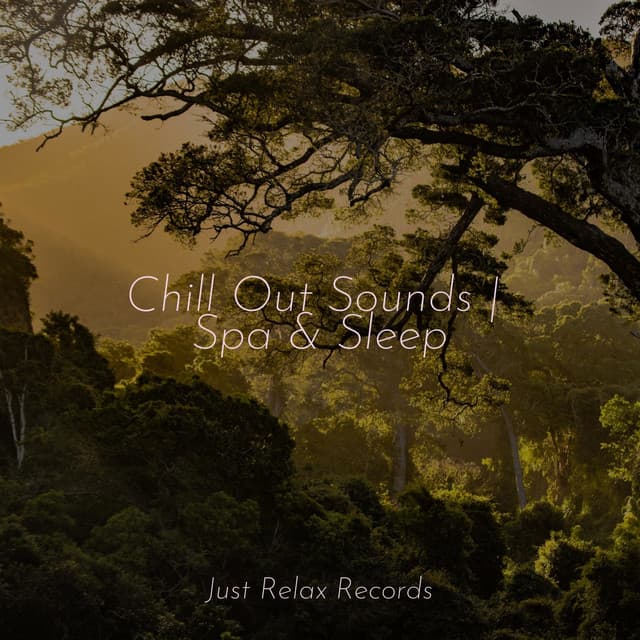 Chill Out Sounds | Spa & Sleep - Chakra Balancing Sound Therapy