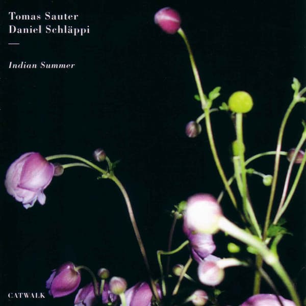 Indian Summer - Tomas Sauter