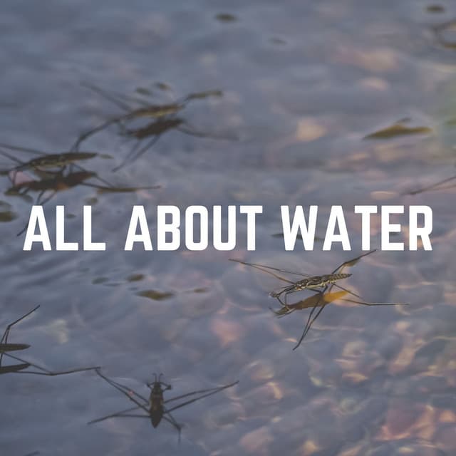 All About Water - Water Soundscapes