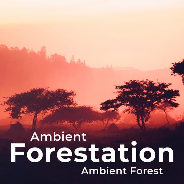 Ambient Forestation - Ambient Forest