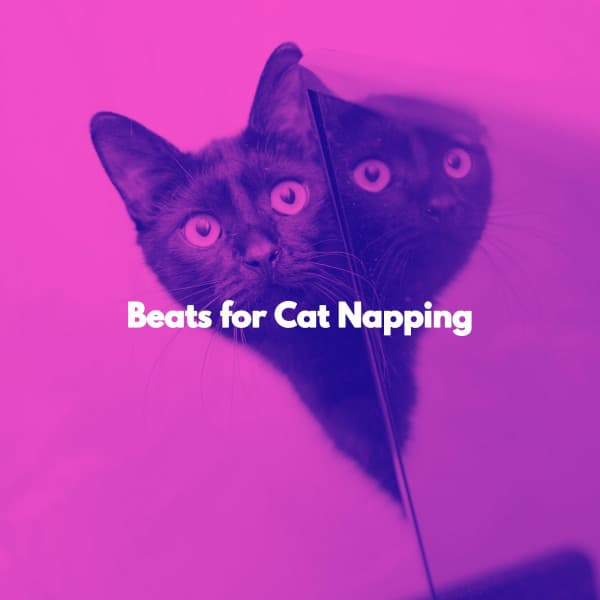 Beats for Cat Napping - Soft Work & Jazz