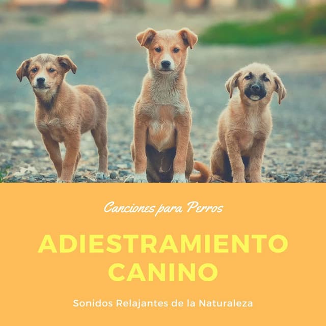 Adiestramiento Canino: Canciones para Perros, Sonidos Relajantes de la Naturaleza - Musica Relajante Specialistas