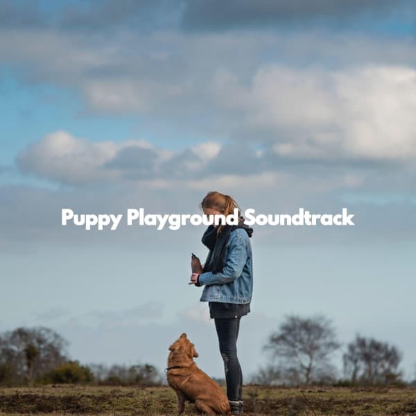 Puppy Playground Soundtrack - Instrumental Study Music