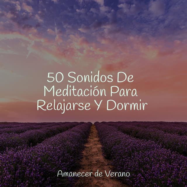 50 Sonidos De Meditación Para Relajarse Y Dormir - Mantra para Dormir