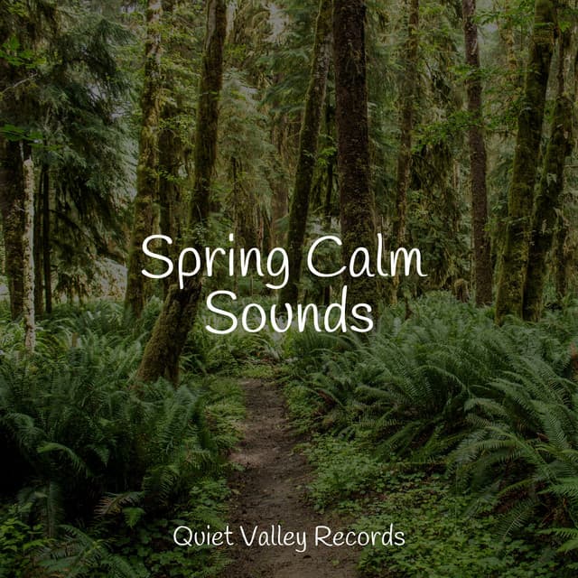 Spring Calm Sounds - Fabricantes De Lluvia