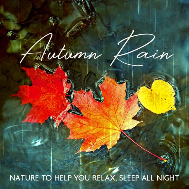 Autumn Rain - ASMR Zone