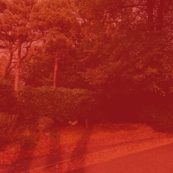 Music for After Hours Work - Inspiring No Drums Jazz - Jazzy Mornings