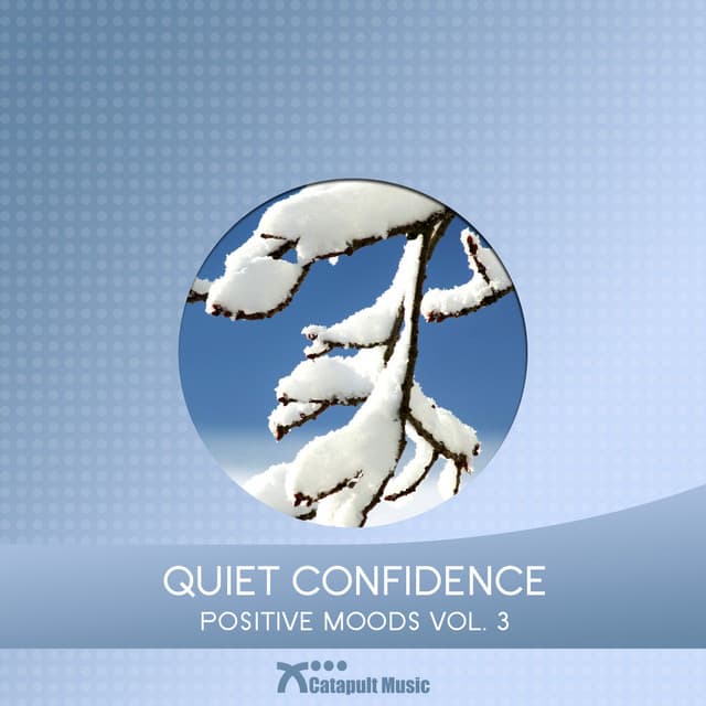 Quiet Confidence - Martin Haene