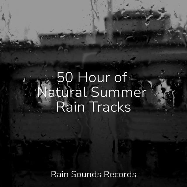 50 Hour of Natural Summer Rain Tracks - Relaxing Rain Sounds