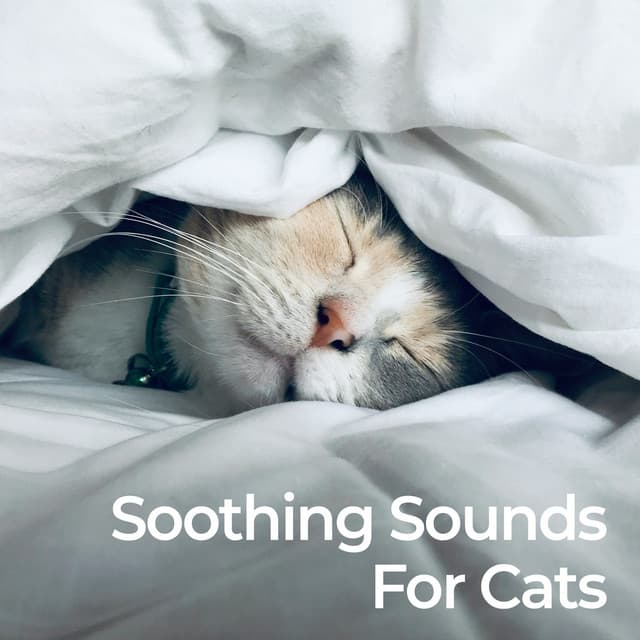 Soothing Sounds for Cats - Music For Cats
