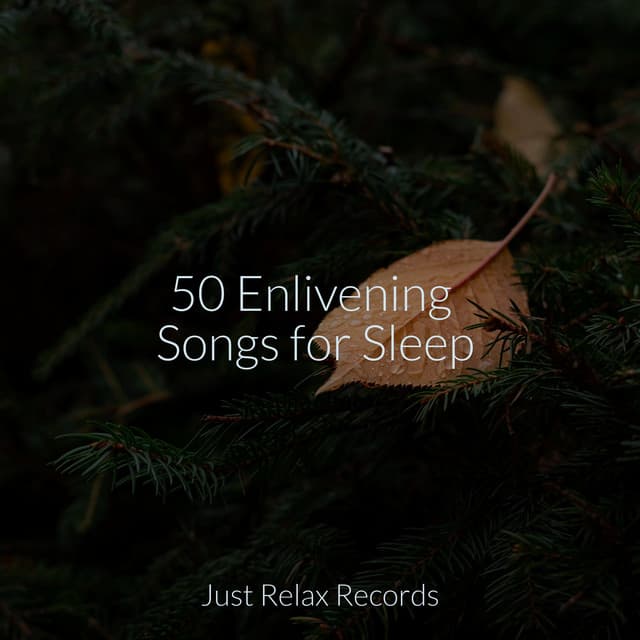 50 Enlivening Songs for Sleep - Música Relajante para Bebés