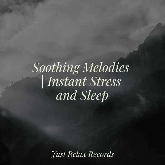 Soothing Melodies | Instant Stress and Sleep - Rising Higher Meditation