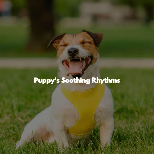 Puppy's Soothing Rhythms - Chill Cafe Music