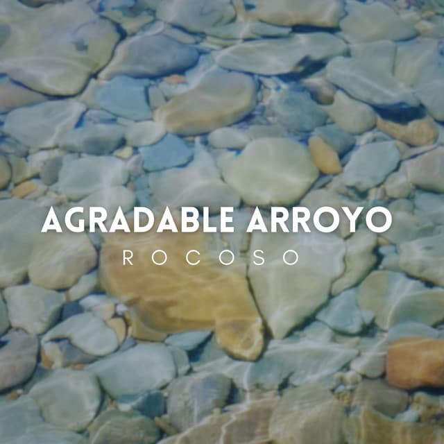 Agradable Arroyo Rocoso - Arroyos y niebla