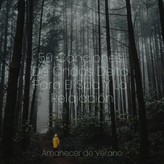 50 Canciones De Ondas Delta Para El Spa Y La Relajación - Chillout Lounge