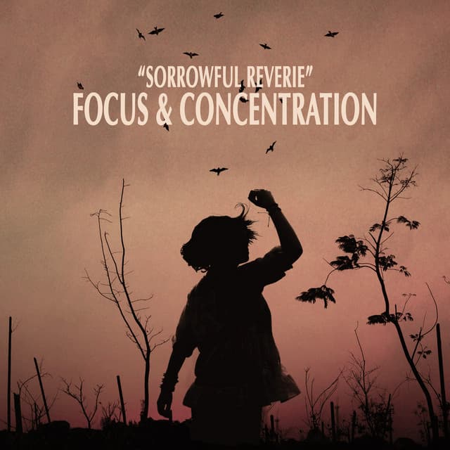 "Sorrowful Reverie" - Focus & Concentration - Johann Sebastian Bach