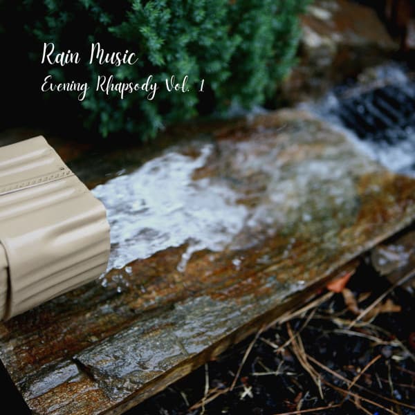 Rain Music: Evening Rhapsody Vol. 1 - The Nature Soundscapes