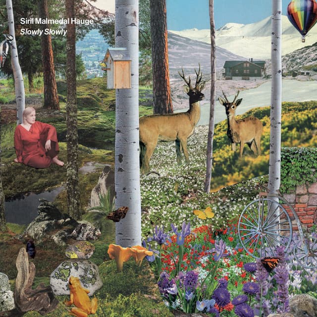 Slowly, Slowly. - Siril Malmedal Hauge