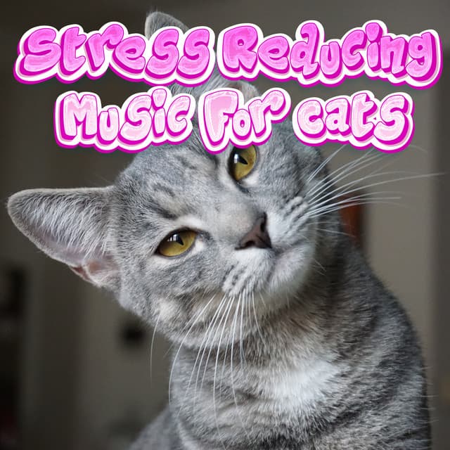 Kitty Cat Lullabies Relaxing Stress Reducing Music For Cats - Stress Reducing Music For Cats