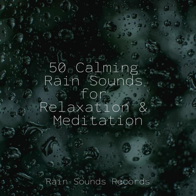 50 Calming Rain Sounds for Relaxation & Meditation - Relaxing Spa Music