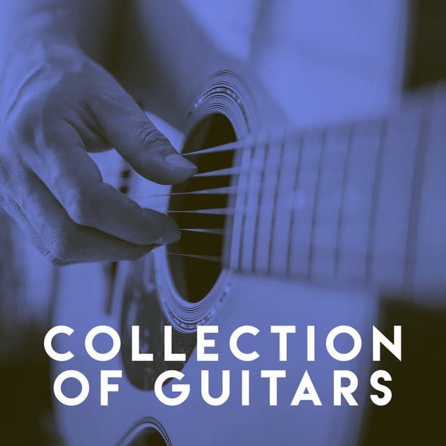 Collection of Guitars - Spanish Guitar