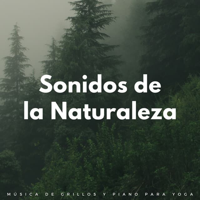 Sonidos De La Naturaleza: Música De Grillos Y Piano Para Yoga - Grabaciones relajantes de la Naturaleza