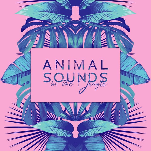 Animal Sounds in the Jungle: Wildlife Music to Restore Your Balance and Inner Energy. Nature Therapy Zone - Harmony Nature Sounds Academy