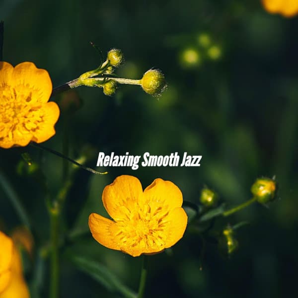 Relaxing Smooth Jazz - Música para Restaurantes