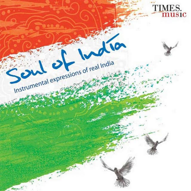 Soul of India - Ashit Desai