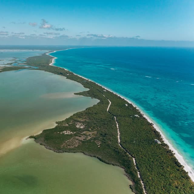 Vacuum Cleaner White Placid Noise - Black Noise Sleep