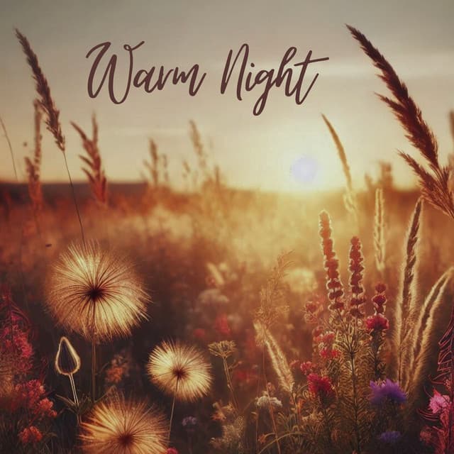 Warm Night: Dreaming Nature Sounds for Insomnia Relief - Dreaming Sound
