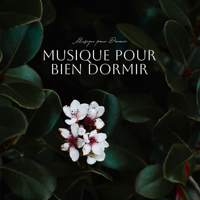 Musique pour Bien Dormir - Musique pour Dormir