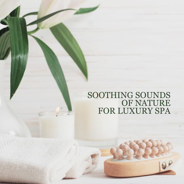 Soothing Sounds of Nature for Luxury Spa – Invigorate Your Body & Mind with Healing Nature Sounds, Spa Treatmens, Wellness, Massage, Bath & Relax - Rain Music!