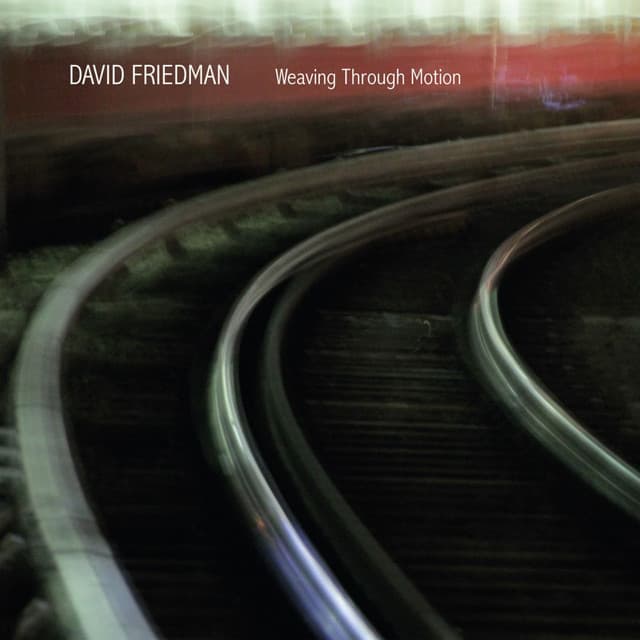 Weaving Through Motion - David Friedman