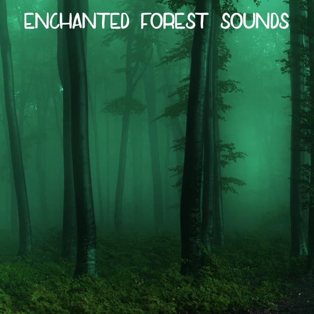 Enchanted Forest Sounds - Ambient Forest