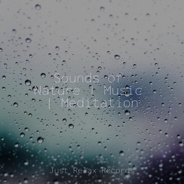 Sounds of Nature | Music | Meditation - Shakuhachi Sakano