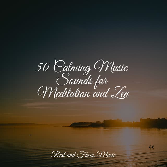 50 Calming Music Sounds for Meditation and Zen - Música relaxante
