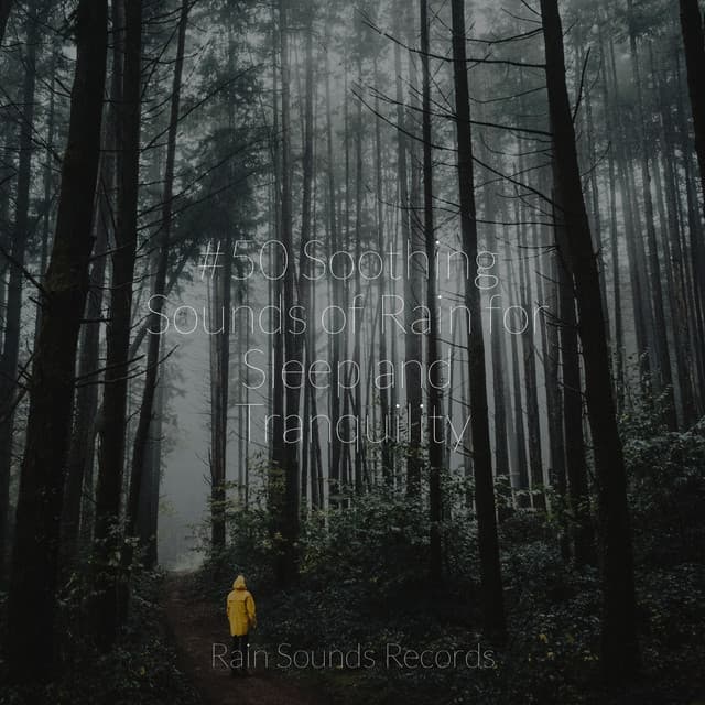 #50 Soothing Sounds of Rain for Sleep and Tranquility - Nature Sounds