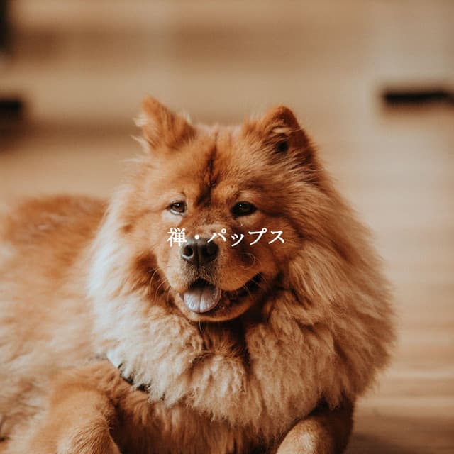 禅・パップス - Good Night Jazz