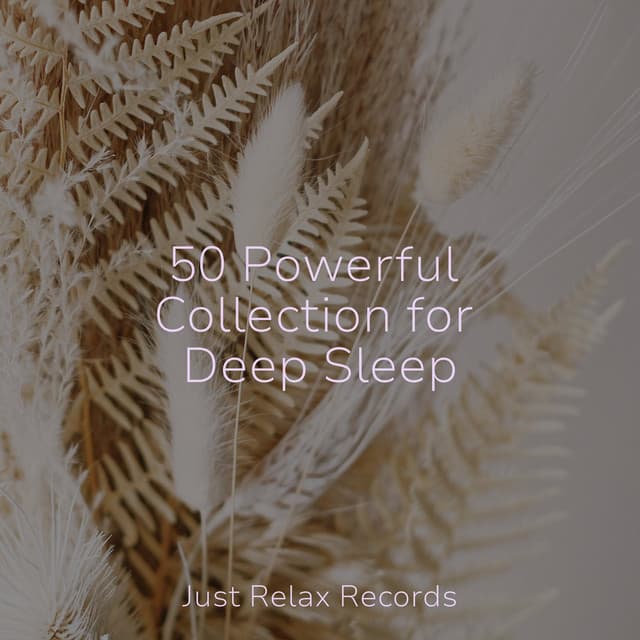 50 Powerful Collection for Deep Sleep - Chakra Balancing Sound Therapy