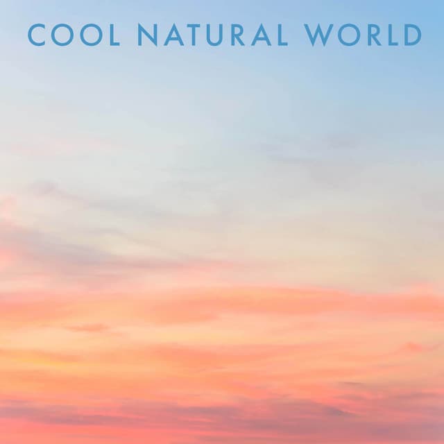Cool Natural World - Meditation Relaxation Club