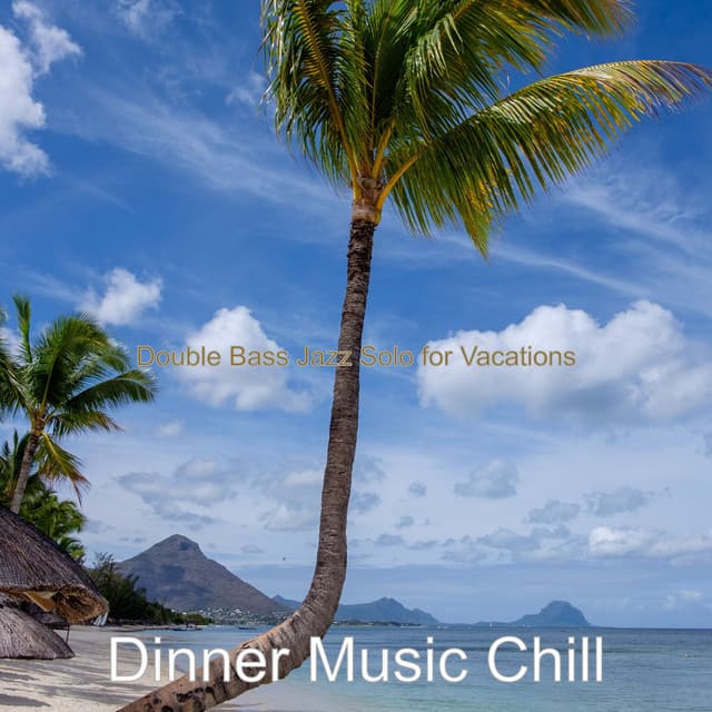 Double Bass Jazz Solo for Vacations - Dinner Music Chill