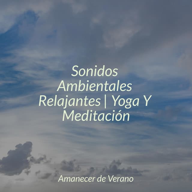 Sonidos Ambientales Relajantes | Yoga Y Meditación - Sleep Sound Library