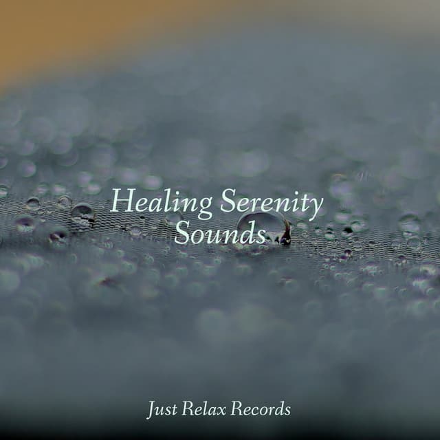 Healing Serenity Sounds - Easy Sleep Music