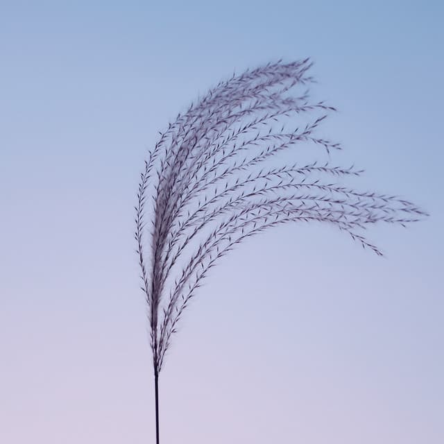 50 Soothing Sounds for Spa & Relaxation - Deep Sleep Brown Noise