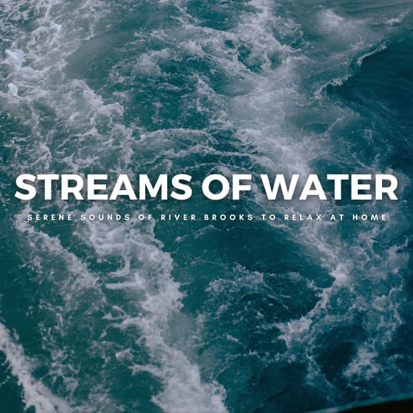 Streams Of Water: Serene Sounds Of River Brooks To Relax At Home - Sleep Music Culture