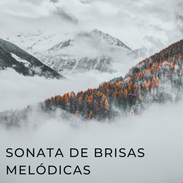 Sonata De Brisas Melódicas - Aire relajante